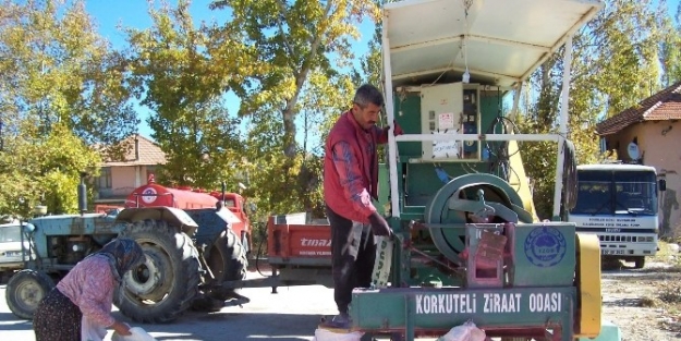 Sellektörler Gelecek Yılın Tohumlarını Hazırlıyor