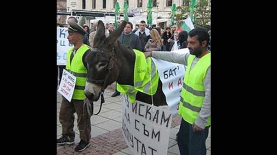 Türklere 'eşekle' hakaret...