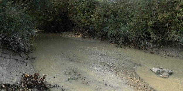 Karpuzlu Çayi’nda Kirlilik Sorunu Devam Ediyor