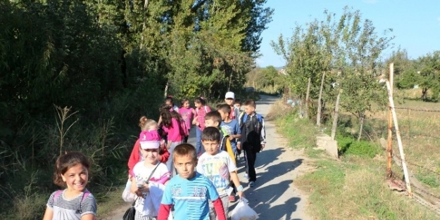Yavrukurt İzci Ünitesinden Doğa Yürüyüşü