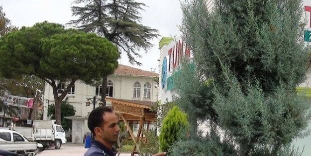 Havran Belediyesi’nden Parklara Bakım