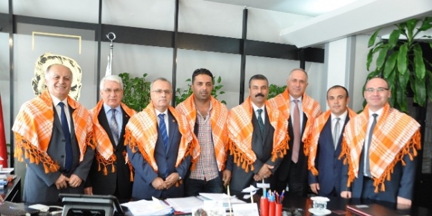 Salihli Deve Güreşleri İle Şenlenecek