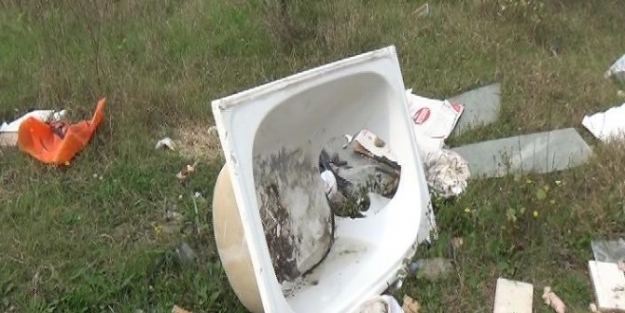 Düzce Ormanları Magandalara Teslim