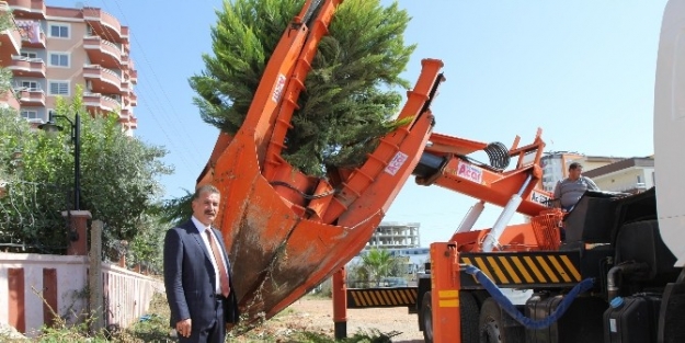 Amfi Tiyatronun Çevresinde Peyzaj Çalişmalarina Başlandı