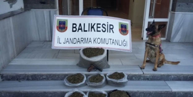 (özel Haber) Jandarmadan Uyuşturucu Tacirlerine Darbe