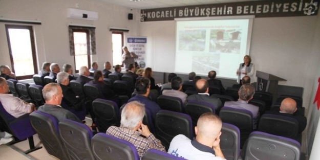 Kocaeli’de Muhtarlara Sokak Hayvanları Eğitimi