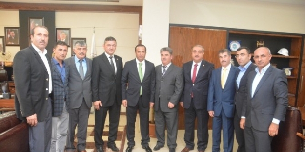 Dilovası Belediye Başkanı Ali Toltar: