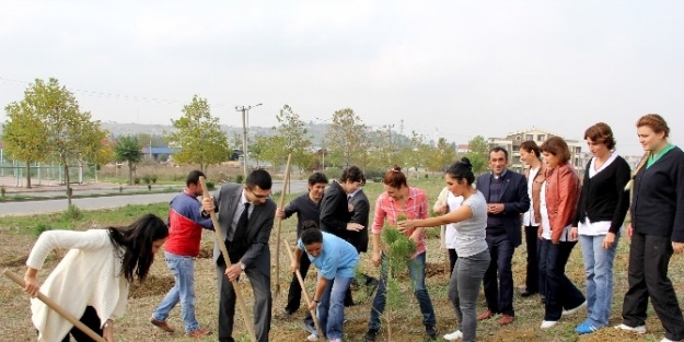 Çiftlikköy’de Her Hemşireye Bir Fidan