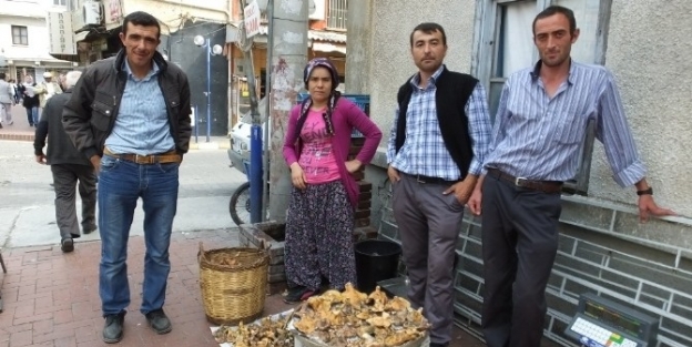 Melki Mantarı Köylünün Geçim Kaynağı Oldu