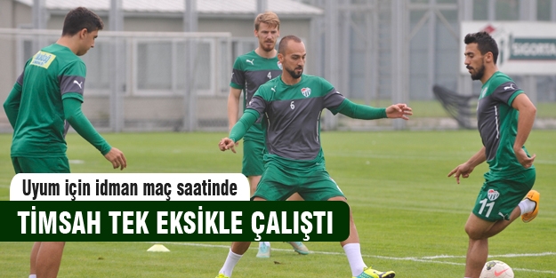 Timsah tek eksikle çalıştı