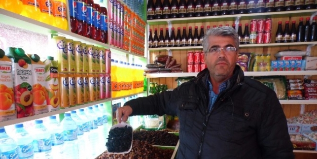 Gölbaşı’nda Peygamber Üzümü Her Derde Deva