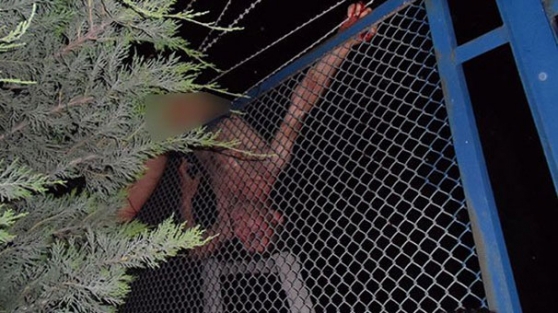 Bonzainin etkisiyle askeriye girmek isteyince...