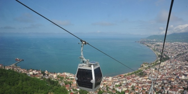 Ordu Alüvyon Toprak Üzerine Kurulu