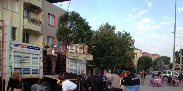 Köprübaşı’nda Halka 2 Kamyon Nar İkram Edildi