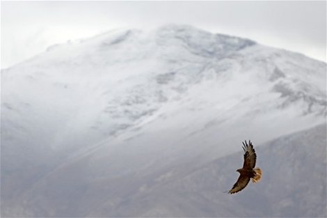 Zirve karla kaplandı