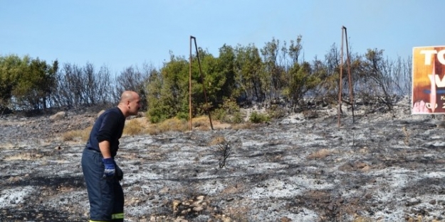Ayvalık’ta Makilik Yangını
