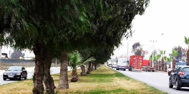 Mersin’in Doğu Girişi Yenileniyor