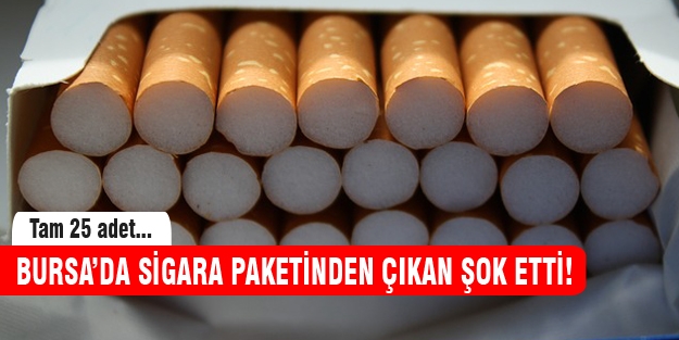 Bursa'da sigara paketinden çıkanlar şok etti!