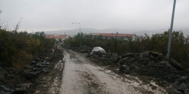 Yozgat Çamlik Milli Parkında Yol Çalişmalari Başladı