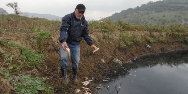 İnegöl'de korkutan manzara