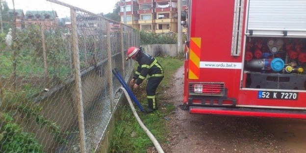 Ordu’da Etkili Yağış Su Baskınlarına Neden Oldu