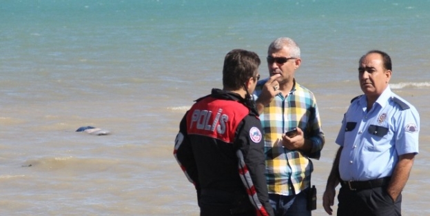 Suriyeli Kadının Cesedi Gölde Bulundu