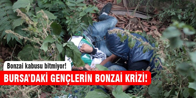 Bursa'da bonzai içen genç komaya girdi!