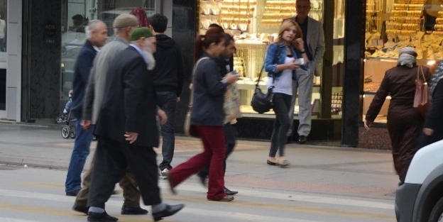 Lağım Faresinin Trafikle İmtihani