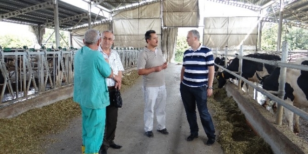 Tarımda Eylül Ayı Dolu Dolu Geçti