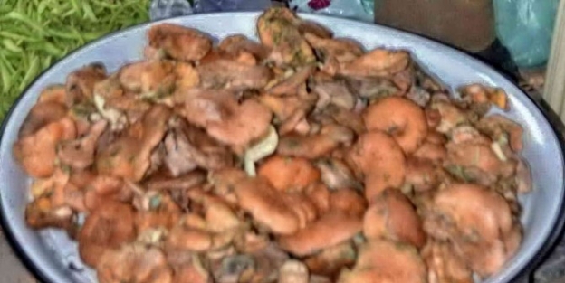 Simav’da Mantar Satışları Yasaklandı