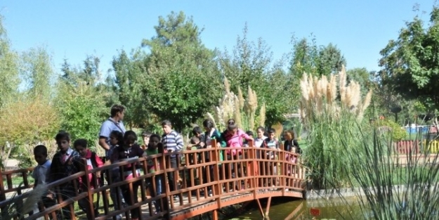 İşitme Engellilerin Doğa Sevinci