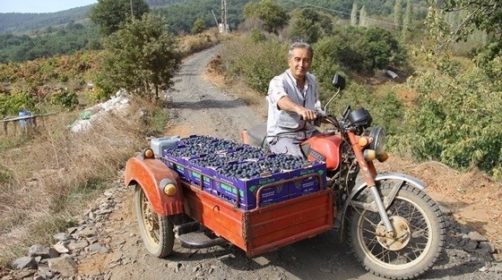 Bayındır’da Üretim Yolları Hasatı Kolaylaştırdı