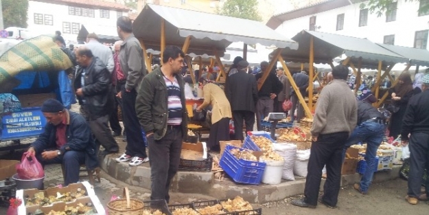 İskilip’te Mantar Bereketi