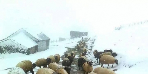 Kar Yağdı, Yaylalardan Dönüş Başladı