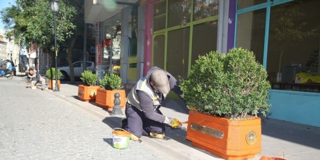 Kent Merkezi Saksılarla Daha Güzel