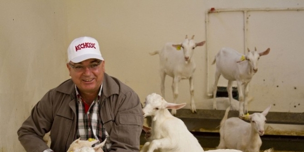 Keçi Sütü Ve Peyniri Foodex’te Görücüye Çikacak!