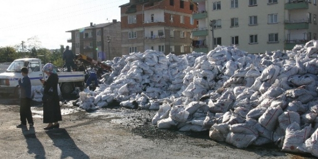 Ordu’da 10 Bin Ton Kömür Dağıtılacak