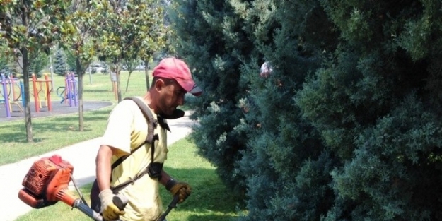 Park Ve Yeşil Alanların Temizliği İçin Personel İhalesi Yapıldı