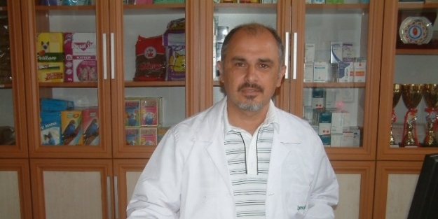 Veterinerler Damızlık Sığır İthaline Karşı