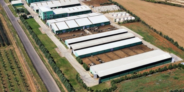 Aile çiftliklerine özel eğitim