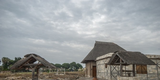 Urla’da "doğru Hasat Ve Kaliteli Zeytinyağı" Eğitimi Verilecek