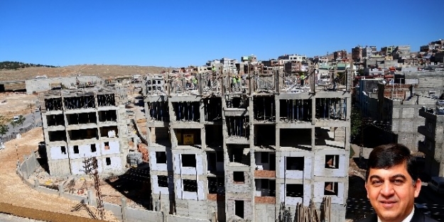 Şehitkamil’de Zeytinli Konutları Hızla Yükseliyor