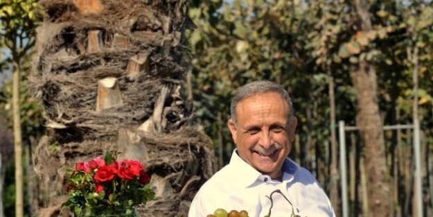 Ödemiş 10. Süs Bitkileri Ve Fidancılık Sergisi İle Şenlenecek