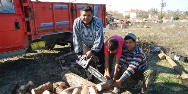 Malkara’da Vatandaşları Yakacak Telaşı Sardı