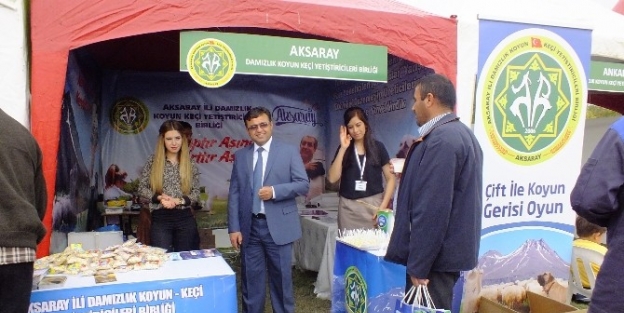 Aksaray’ın Hayvancılığı Hayvan Kongresinde Tanıtıldı