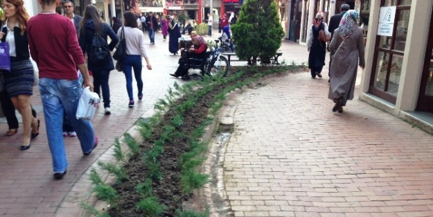 Sanat Sokağı Daha Yeşil Oldu