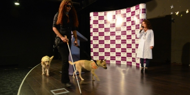 Bursa'daki özel kolej engelliler için umut oldu