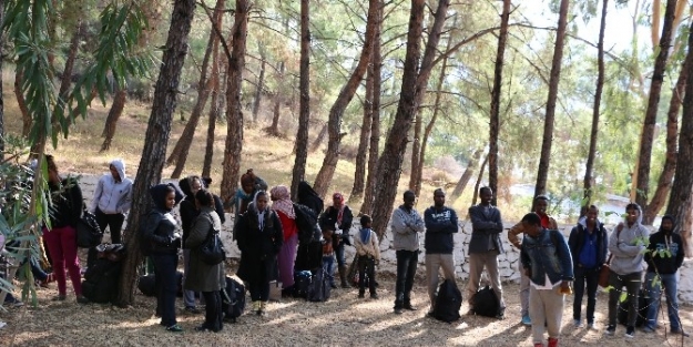 Jandarmayı Görünce Kaçakları Yola Bırakıp Kaçtılar