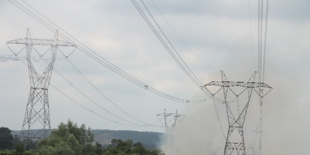 Yasak Olmasına Rağmen Anız Yakımı Devam Ediyor