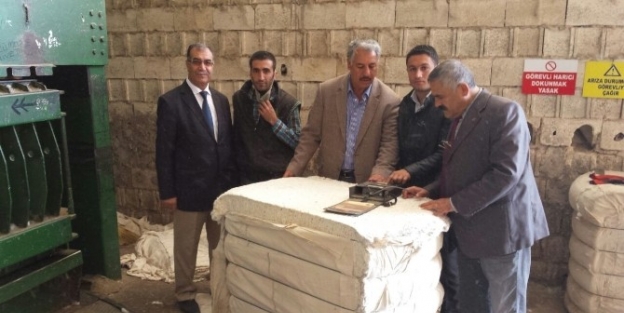 Urfa Pamuğu, Kalite Standardını Yakaladı